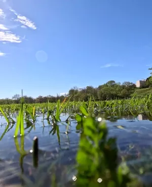 Se réinventer N° 56