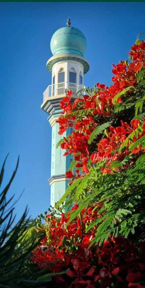 Après un mois de jeûne, la communauté musulmane de La Réunion s’apprête à fêter l’Eid, qui marque la fin du Ramadan. Réunion  la 1ère  s’associe à cette grande fête et propose une programmation spéciale en direct tv  en fonction de l’apparition de la lune le vendredi  20 ou le samedi 21  2026 de 6h25 à 7h45, présentée par Loïs Mussard.