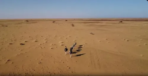 ODETTE DU PUIGAUDEAU, l’aventurière inattendue 