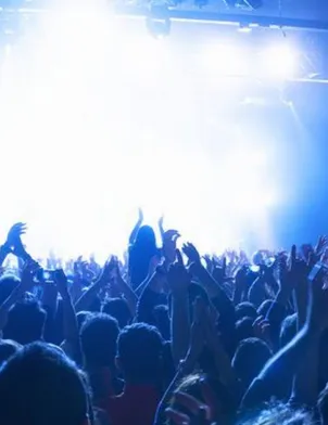 foule bras levés concert