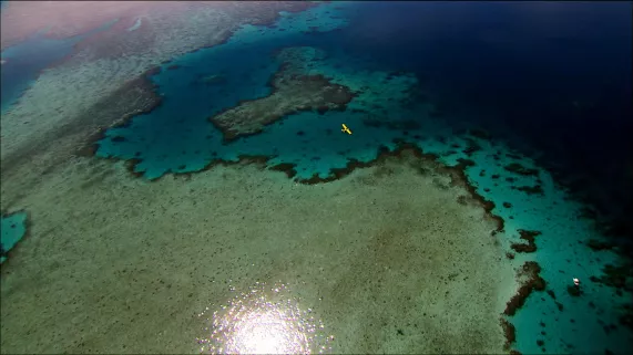 Newen Distribution LAGON DE MAYOTTE, UNE AUTRE IDÉE DU VOYAGE