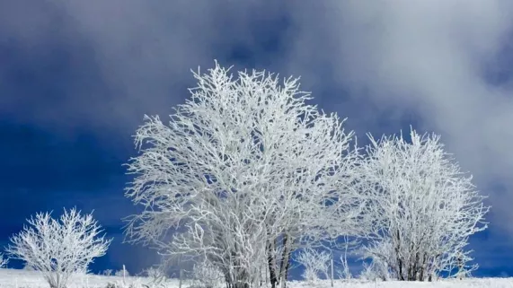 Les vosges sous la neige