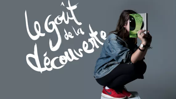 S12 Grille Bourgogne