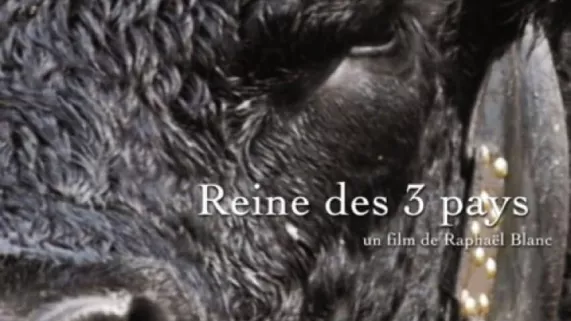 Doc REINES DES 3 PAYS