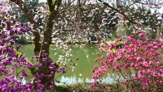 Les jardins extraordinaires des Vosges