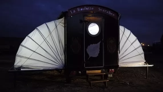 La culture en Scarabée