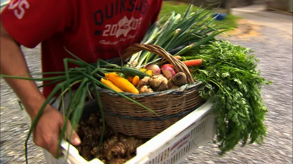 un marché un marché bio