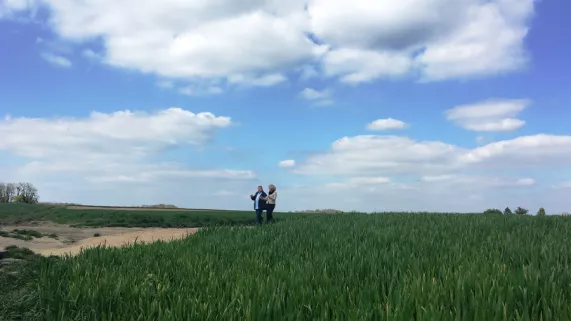 Histoire de se balader à Auvers-sur-Oise