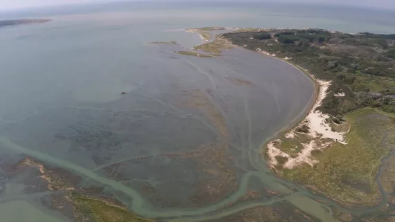 L'appel de la baie L'appel de la baie