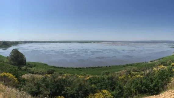 Cap Sud Ouest - L'Hérault à la croisée des chemins