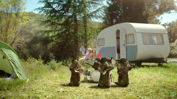 Habillage antenne été - marmottes beatles