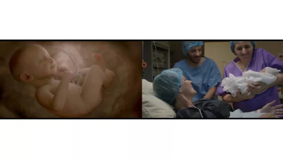 NOS BÉBÉS ONT UNE HISTOIRE
