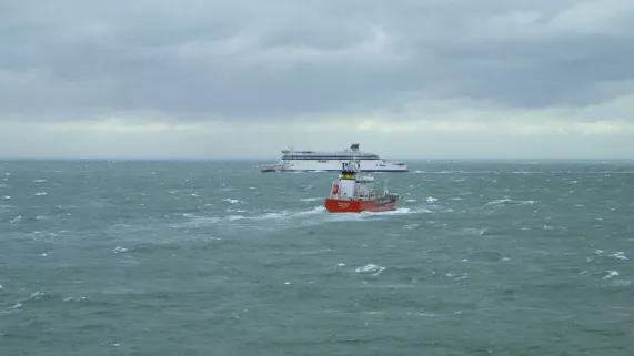 Croisement dans la Manche