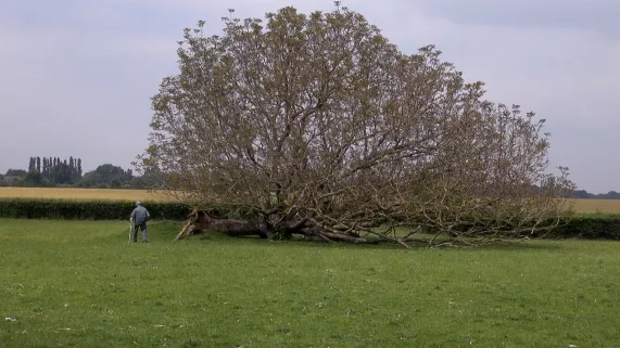 En quête de terre un documentaire de Sonia Ringoot