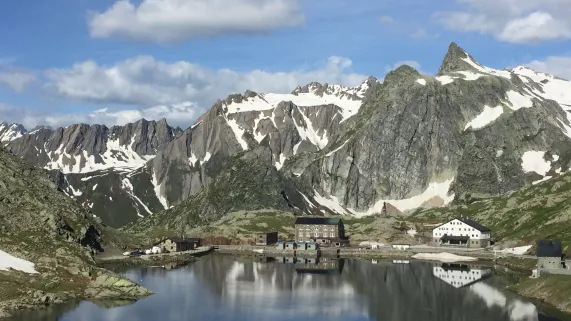 St Bernard en Suisse