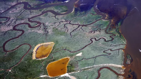 Baie de Somme Baie de Somme