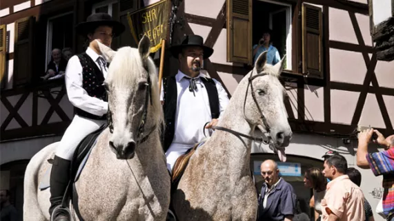 Wissembourg, le cheval à la fête