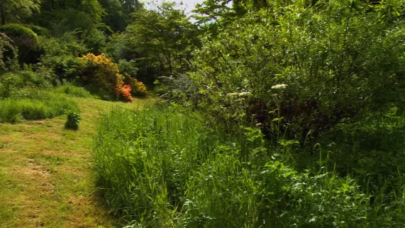 Le jardin en mouvement
