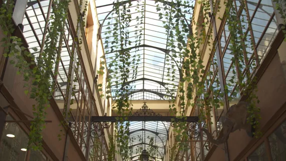 les passages parisiens les passages parisiens