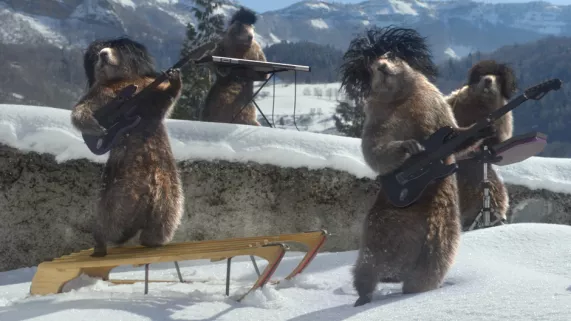 Les Marmottes New Age  Les Marmottes New Age