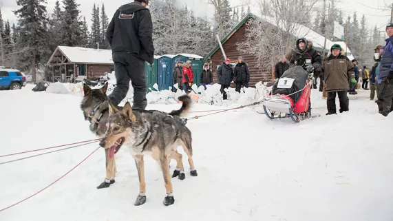 Le traineau du destin