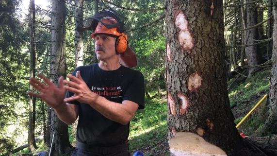 Le bûcheron des cimes