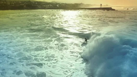 SURF QUI PEUT !  SURF QUI PEUT !