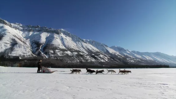 Sébastien et ses chiens sur la piste enneigée