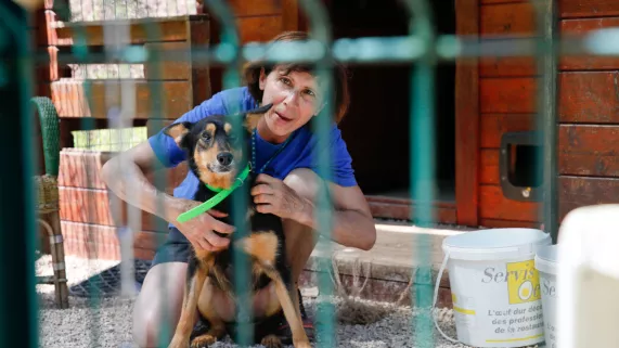 L'animal humain L'animal humain