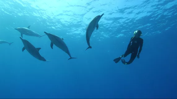 © THALASSA / FTV THALASSA