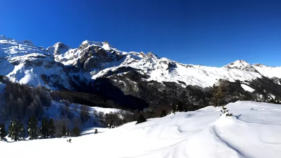 CSO Béarn CSO Béarn