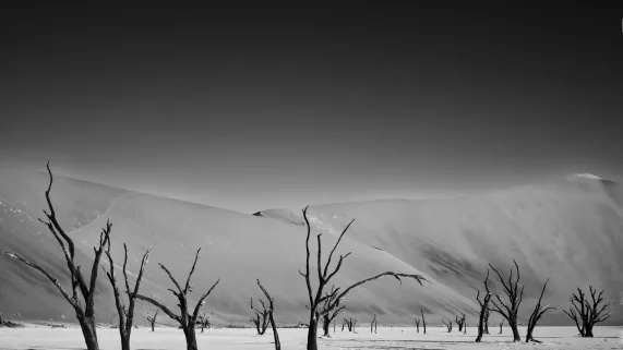 © Vincent Nguyen / Outside Films 360@