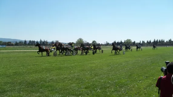 hippodrome