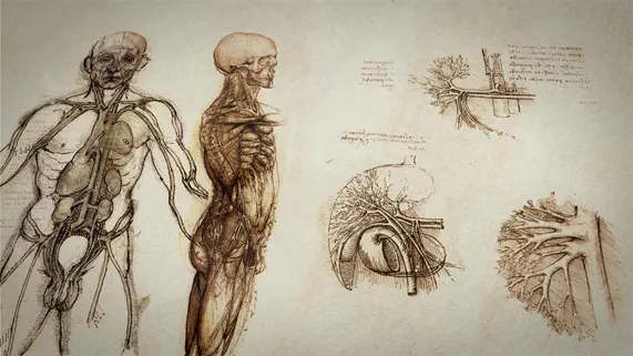 © GA&A / Program33 LEONARDO, L'HOMME QUI A SAUVE LA SCIENCE ?