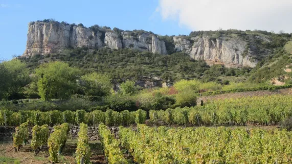 La roche de Solutré 