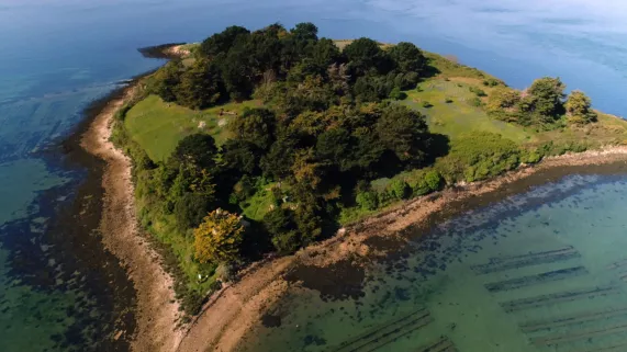 MON ÎLE MA BATAILLE