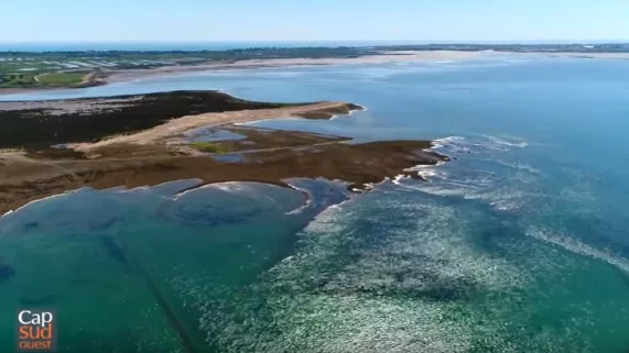 L'île de Ré  L'île de Ré