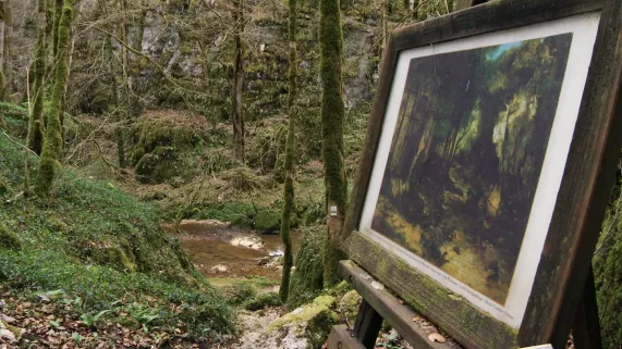 Gustave Courbet, au fil de la loue