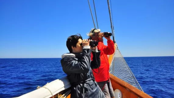 Le chant des sirènes en Méditerranée
