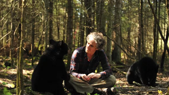 SEUL AU MILIEU DES OURS