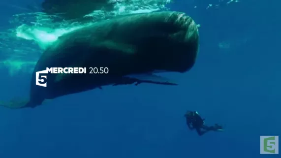 BA La Planète des géants