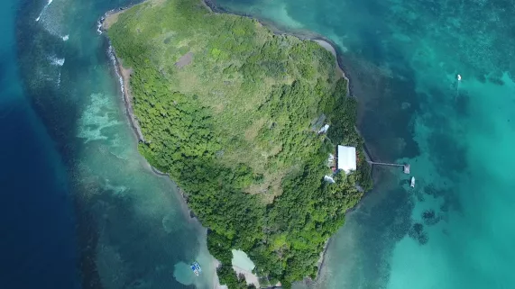 LES EXPLORATEURS DU GOUT