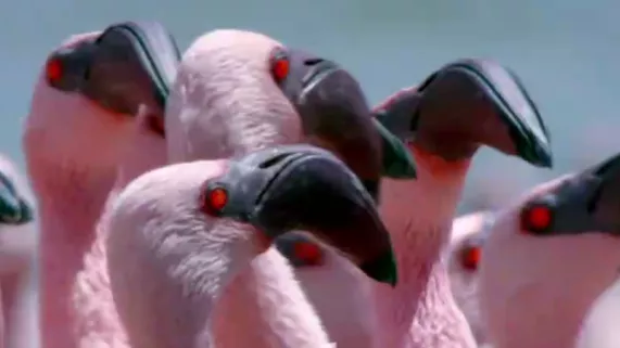 L’Été sur France 5