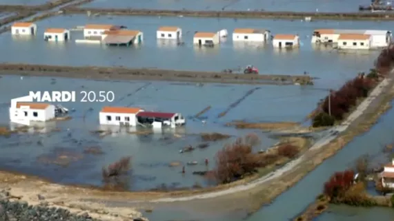 Sale temps pour la planète - Ile de Ré, Noirmoutier protégées à tout prix