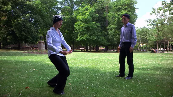 MEDECINES COMPLEMENTAIRES  : QUELLE PLACE A L'HÔPITAL ?