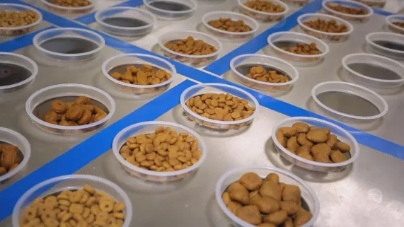 QUELLES CROQUETTES POUR NOS BÊTES ?