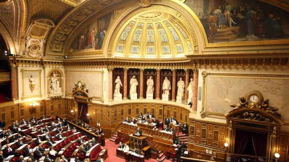 senat