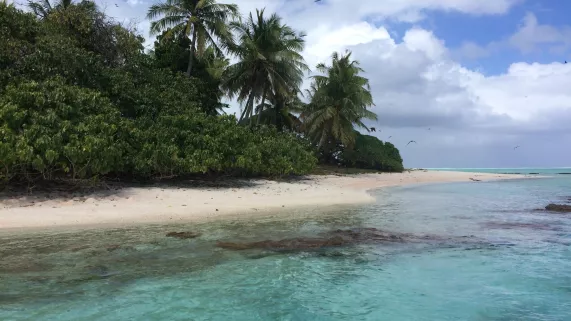 Polynésie, 50 nuances de bleu Plage de Polynésie