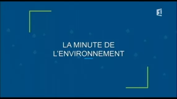 La minute de l'environnement La minute de l'environnement