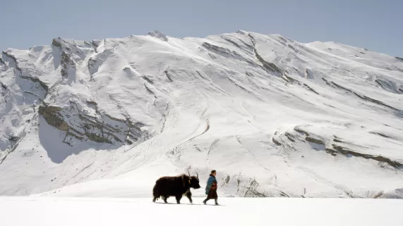 BBC 2016 MONTAGNES SAUVAGES